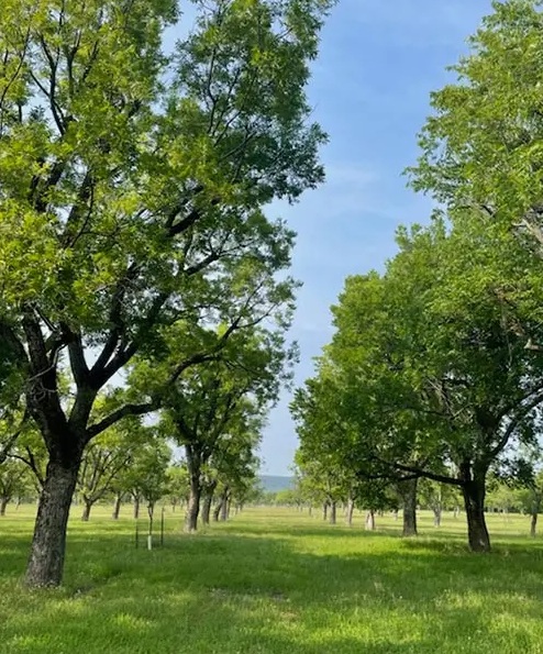pecan-plantation-granbury-tx-76049